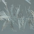 p1240435