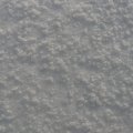 p1240557