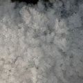 p1240560