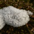 p1240564