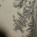 p1240593