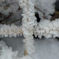 p1240652