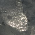 p1240663