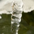 p1240684
