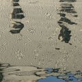 p1240692