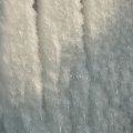 p1240696