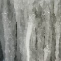p1240734