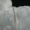 p1240782