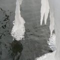 p1240789