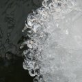 p1240791