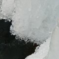 p1240799
