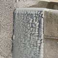p1240931