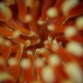 dsc07727