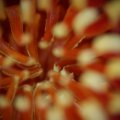 dsc07728
