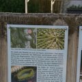 dsc09256