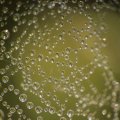 dsc00688