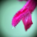 dsc09598