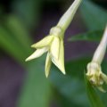 dsc09600