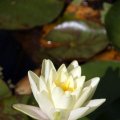 dsc09610