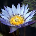 dsc09619