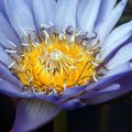 dsc09620