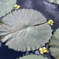 dsc09631