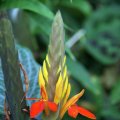 dsc09808
