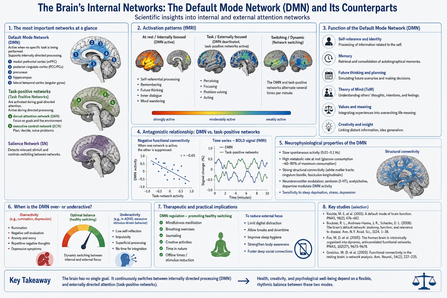 The Brain's Internal Networks The Brain's Internal Networks